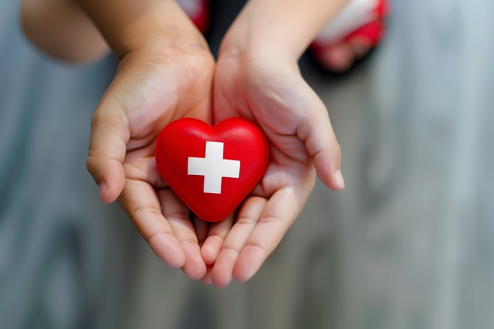 Hands holding a medical heart
